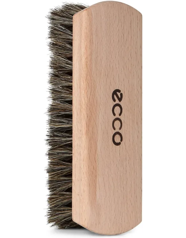 Shoe Brush