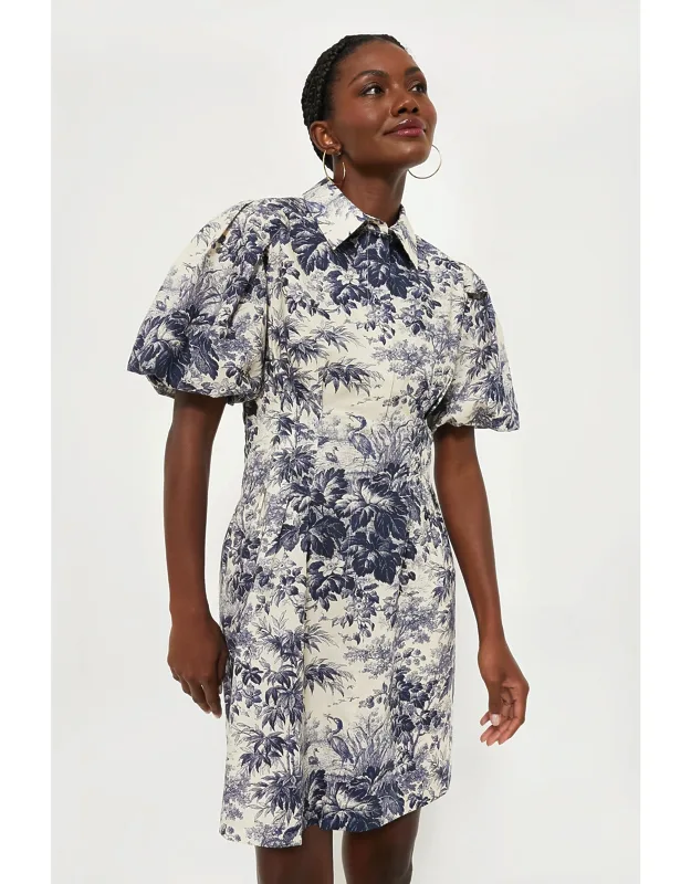 Mini Delaney Dress With Puff Sleeves And Pleated Waist