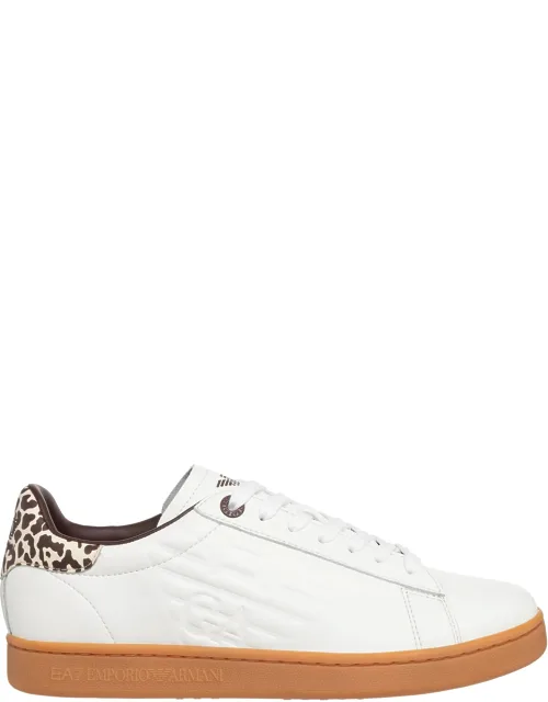 Laces And New With Frmoda Packaging