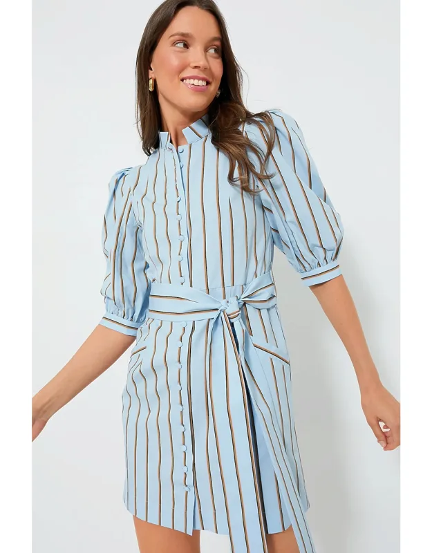 Celeste And Camel Striped Dress