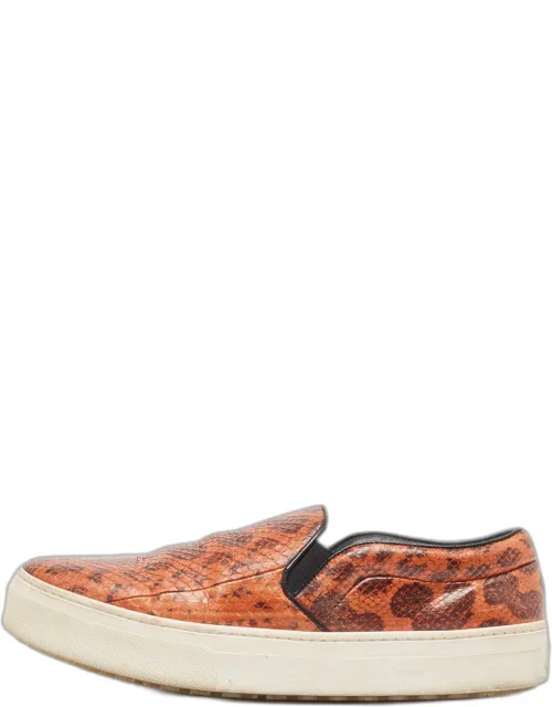 Snakeskin Leather Skate Slip On Sneakers