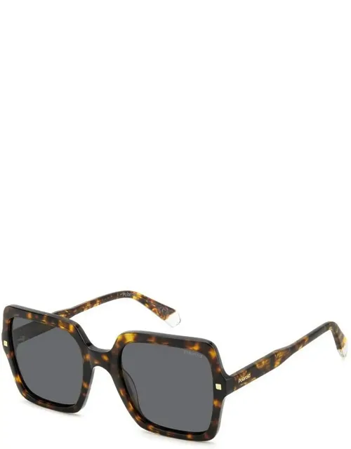 Polaroid Sunglasses Gray Square Acetate
