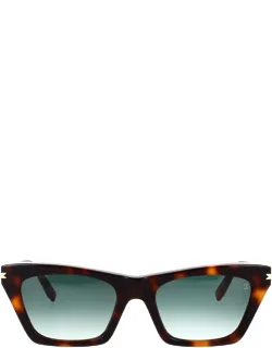 Sunglasses Havana Shaded Butterfly Acetate 53 Mm Lens Width, 20 Mm Bridge Length