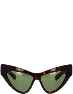 Eyewear Sunglasses Cat-eye Acetate
