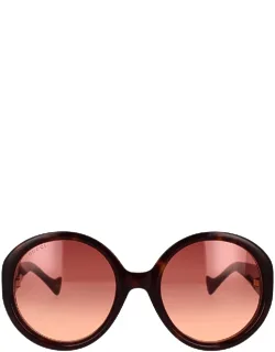 Eyewear Sunglasses Round Acetate