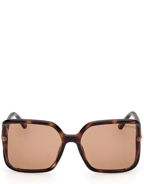 Tom Ford Eyewear Sunglasses - Havana Brown Butterfly Injected