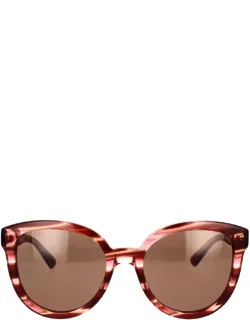 Eyewear Sunglasses Cat-eye Acetate