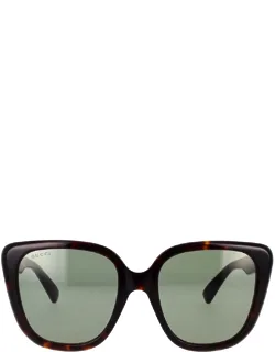 Eyewear Sunglasses Cat-eye Acetate