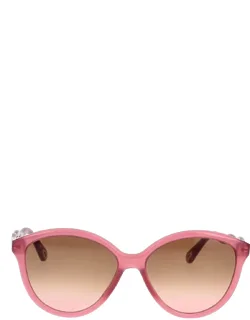 Chloé Sunglasses Cat-eye Acetate