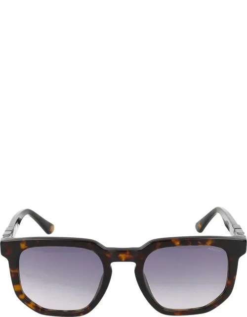 Sunglasses Splf88