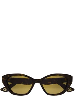 Eyewear Sunglasses Cat-eye Acetate