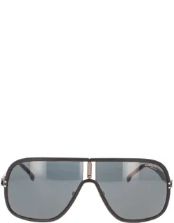 Carrera Sunglasses Rectangle Acetate