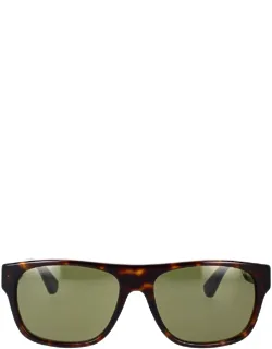 Eyewear Sunglasses Havana Square Acetate