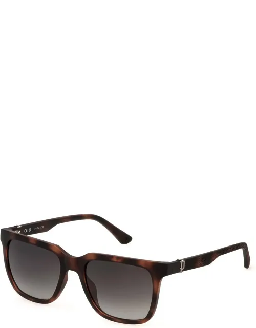 Sunglasses Havana Grey