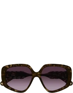 Chloé Sunglasses - Havana Purple Shaded Irregular Injected