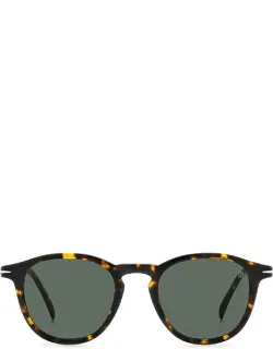 Eyewear Sunglasses Round Acetate