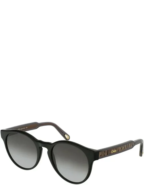 Sunglasses Shaded Round