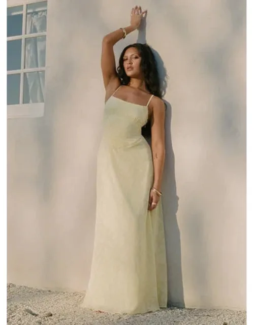 Sheer Maxi Dress