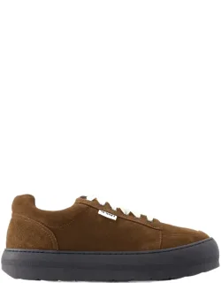 Sneakers Dreamy