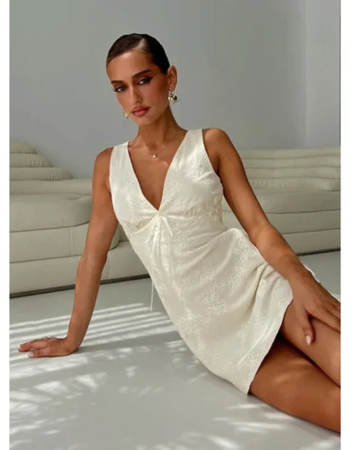 Embroidered Mini Dress