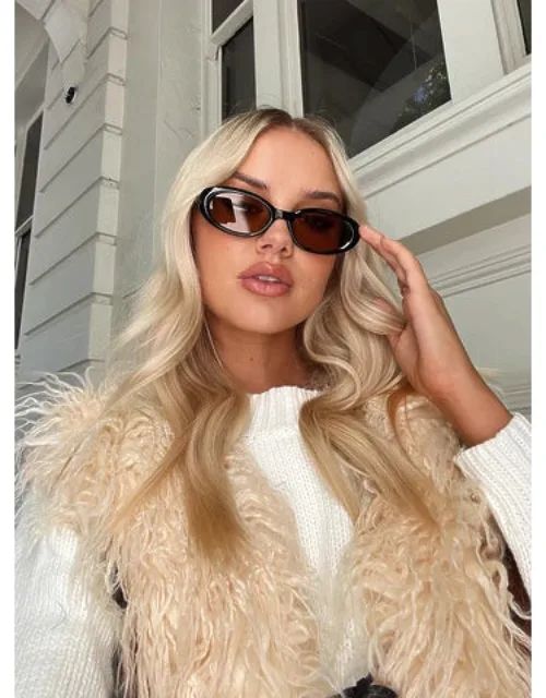 Cassianer Sunglasses