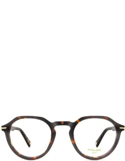 Polar Sunglasses Havana Transparent