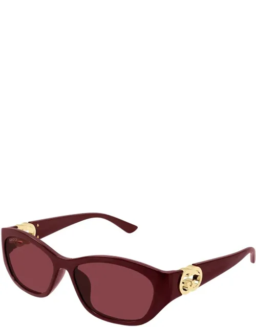 Eyewear Sunglasses Cat-eye Acetate