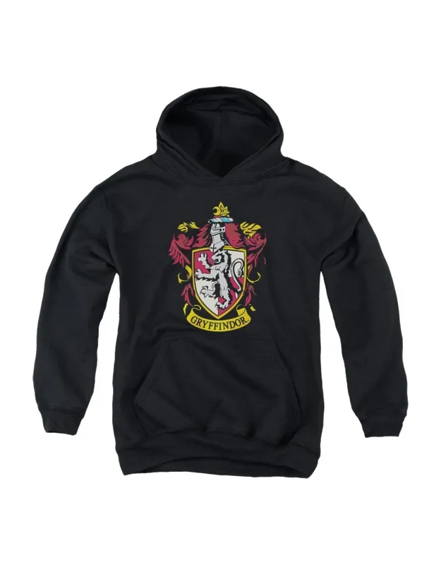 Harry Potter Crest Youth Pull Over Hoodie - Stylish And Great For Everyday Wear