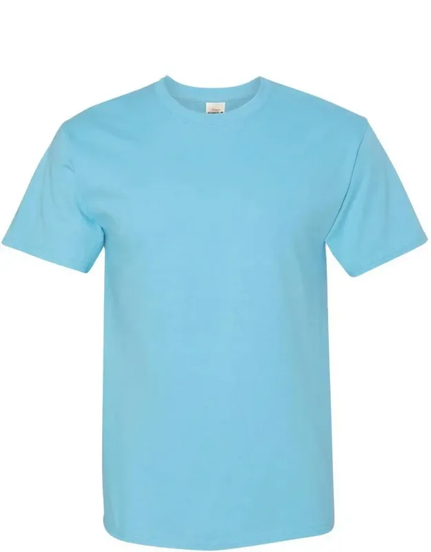 Hanes Authentic T-shirt - 100% Cotton Jersey, Classic Fit