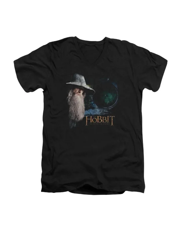 The Hobbit Door V-neck T-shirt