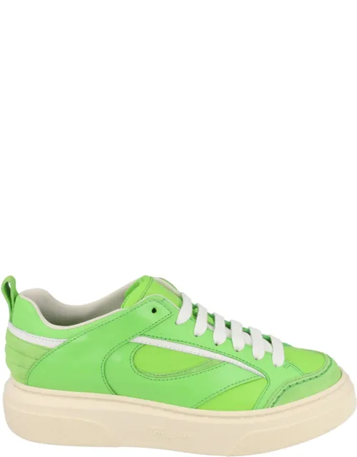 Cassina Low-top Sneakers