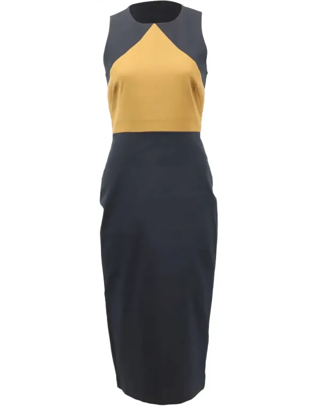 Colorblock Sleeveless Sheath Dress