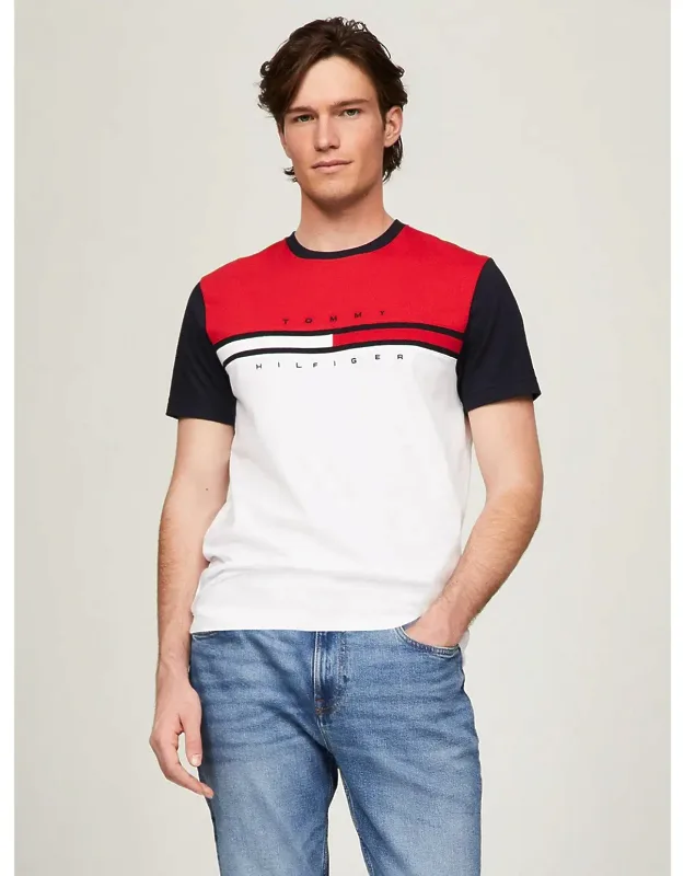 Colorblock Flag Stripe Logo T-shirt