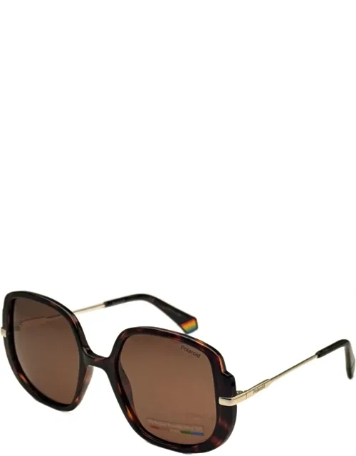 53 Mm Havana Sunglasses