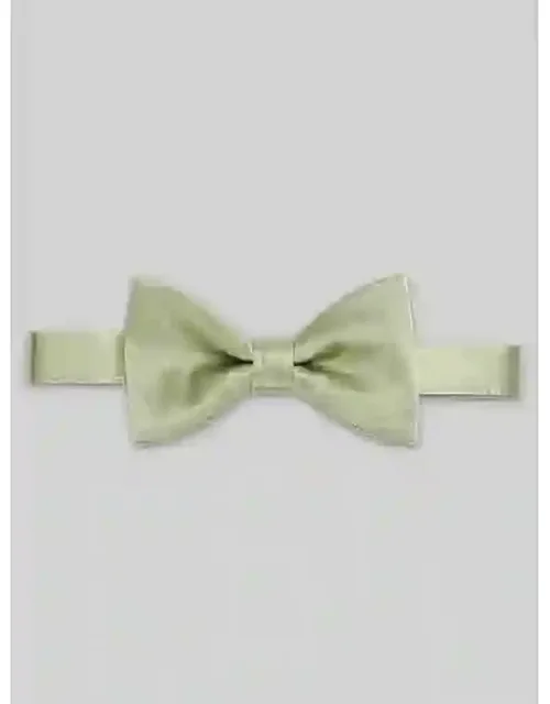 Solid Pre-tied Bow Tie