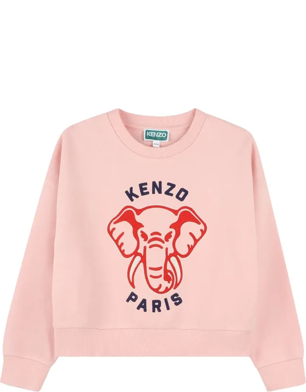 Sweatshirt Made In India