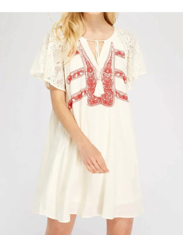 Lace & Embroidered Mini Dress
