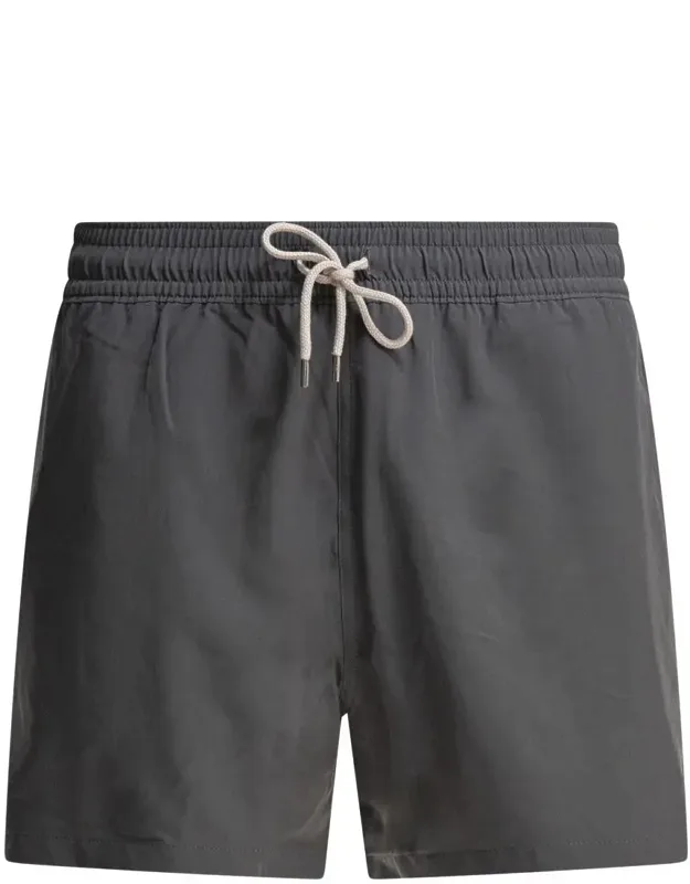 Traveler Swim Shorts