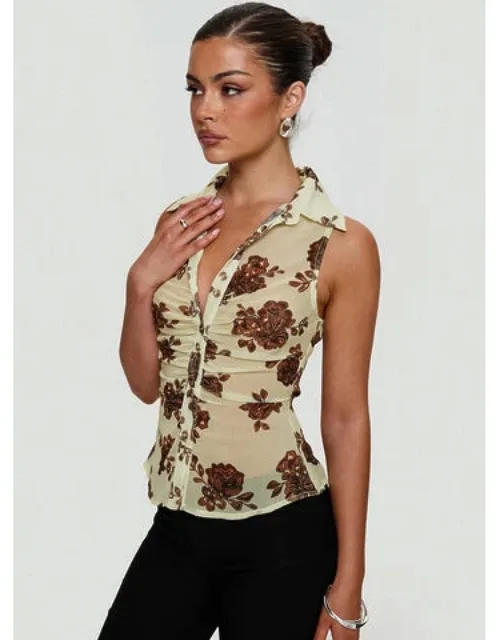 Sheer Ruched Top