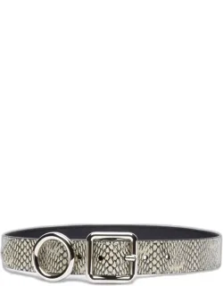 Square Circle Belt