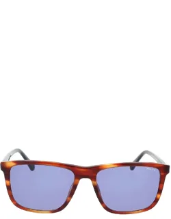 Sunglasses Brown Blue Square Acetate 57mm Lens Width, 17mm Bridge Length