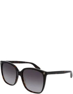Square Acetate Sunglasses