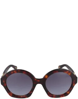 Sunglasses Ch0302s 002 Havana Violet 53/23/140