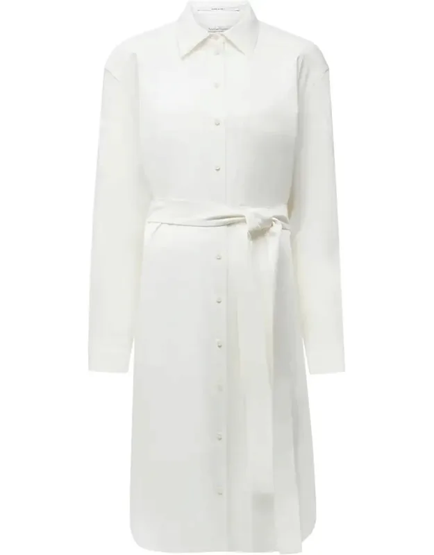 Pleat Back Shirt Dress