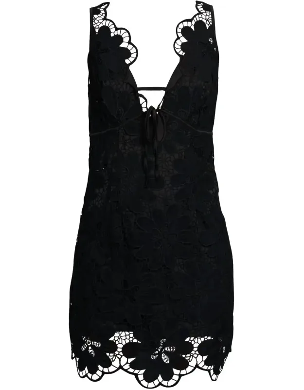 Embroidered Lace Mini Dress