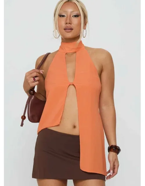 Rhevena Plunge Backless Top