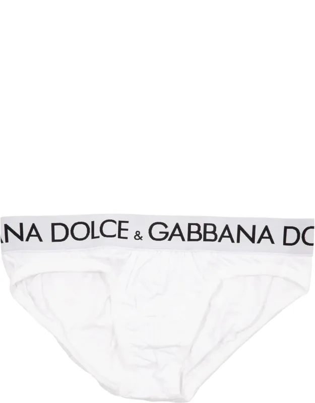 Briefs
