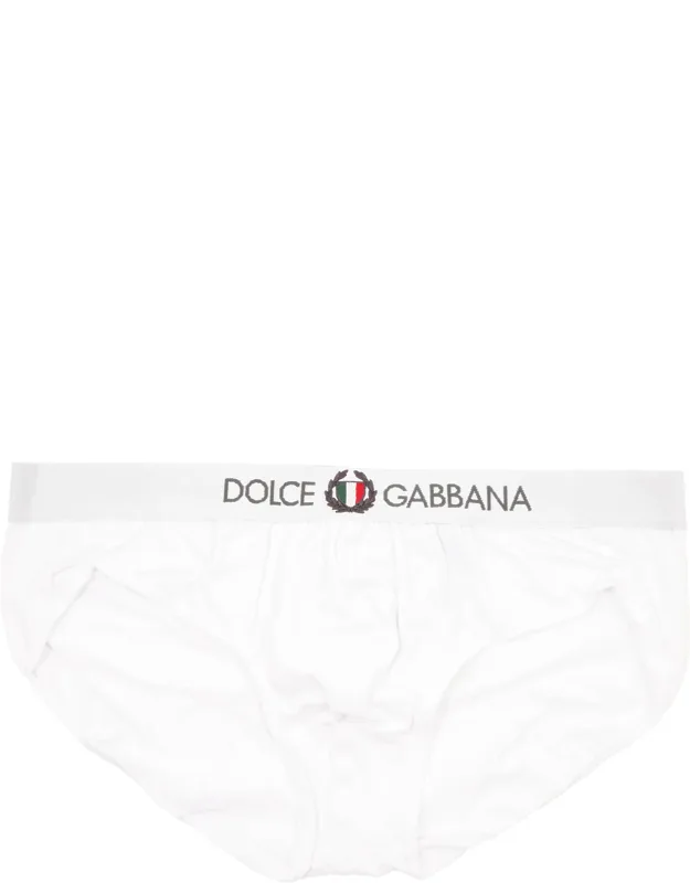 Briefs