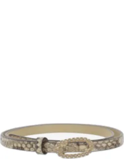 Belt Color Savannah