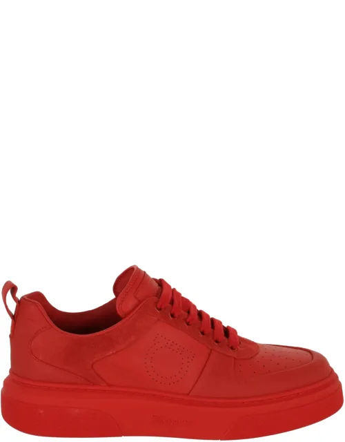 Cassina Low-top Sneakers